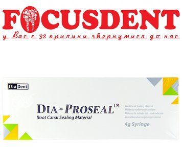 Dia-Proseal (Диа Просил) герметик для корневых каналов на основе эпоксидной смолы 4г 2208082835 фото