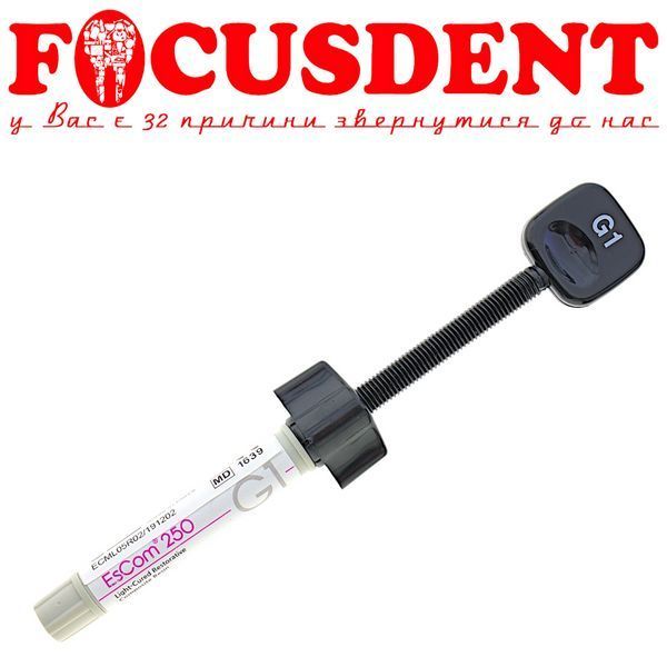Spident EsCom 250 G1 (Ис ком250) 4г наногибридный композитный материал с добавлением циркония 2479241731 фото