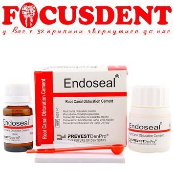 Endoseal - цемент для обтурації кореневих каналів 20г + 10мл PREVEST DenPro 2771909417 фото