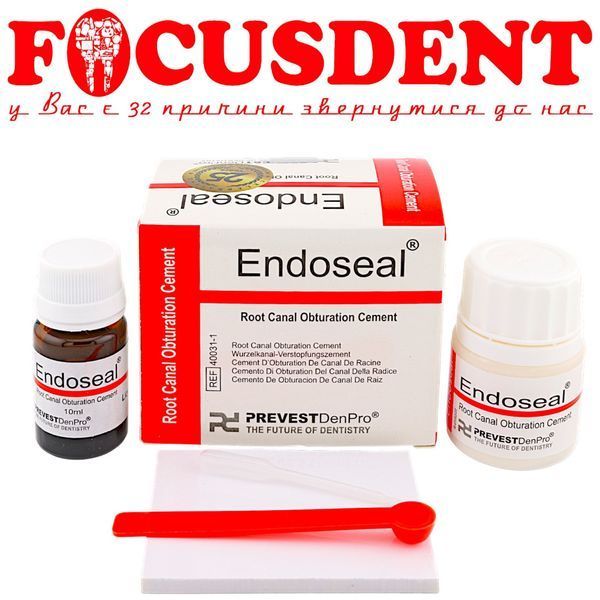 Endoseal - цемент для обтурації кореневих каналів 20г + 10мл PREVEST DenPro 2771909417 фото