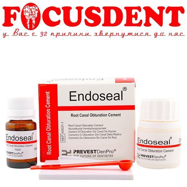 Endoseal - цемент для обтурації кореневих каналів 20г + 10мл PREVEST DenPro 2771909417 фото