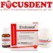 Endoseal - цемент для обтурації кореневих каналів 20г + 10мл PREVEST DenPro 2771909417 фото 3
