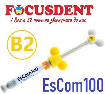 ЕсКом B2, (EsCom100 B2 refill) 4г. світлотверднучий наногібридний композит SPIDENT 1839953892 фото