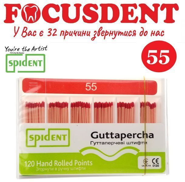 Гутаперчевые штифты конус.02 Spident (Guttapercha) 120 шт., в асортименте от 10 до 80 2519515316 фото