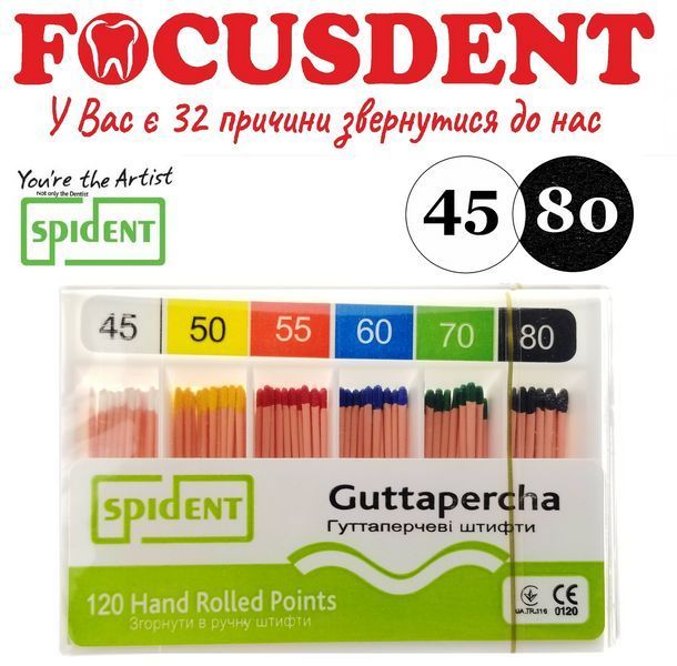 Гутаперчеві штифти конус.02 Spident (Guttapercha) 120 шт., в асортименті від 10 до 80 1368527795 фото