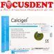 Calcigel &ndash; универсальная паста из гидроксида кальция и сульфатом бария шприц 2г + 5насадок 2772451157 фото 1
