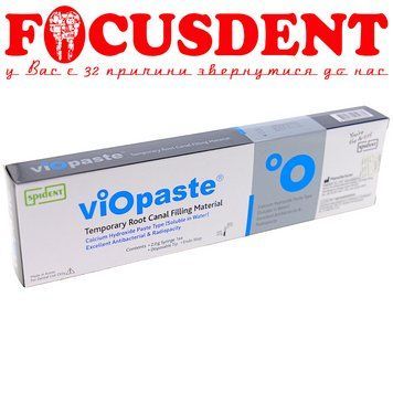 VioPaste (Віопаста) 2г матеріал до тимчасового пломбування кореневого каналу Spident 1528700998 фото
