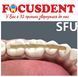 Система шини DENTAPREG SPLINT SFU 422048272 фото 1