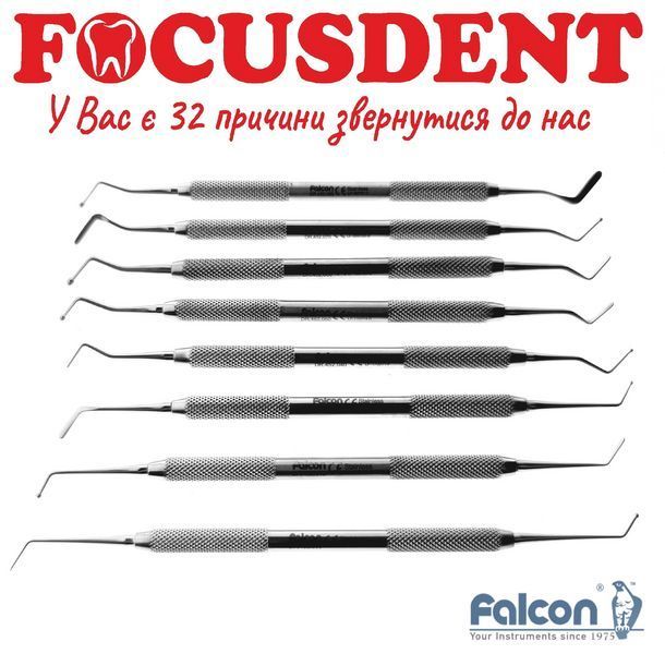 Гладилка Falcon DR.452. DR.452.080 фото